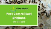 Pest Control East Brisbane image 5